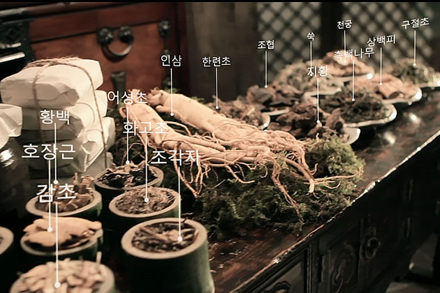 デンギモリに使われている韓方植物の名前と効能を教えてください。